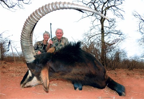 Spiral & Antelope trophy