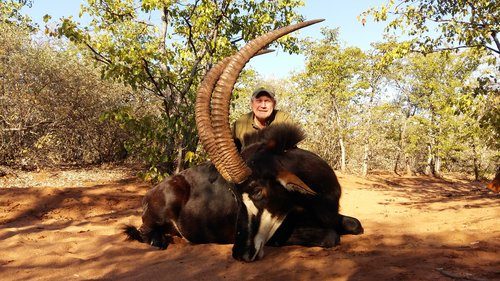 Spiral & Antelope trophy