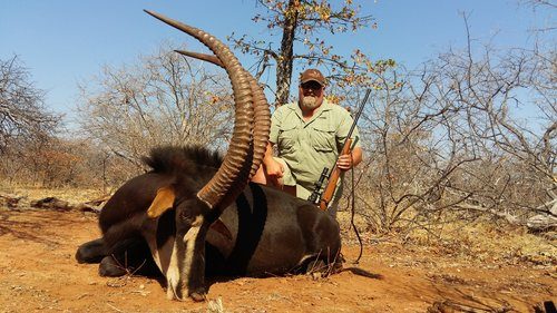 Spiral & Antelope trophy
