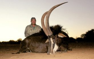 Spiral & Antelope trophy
