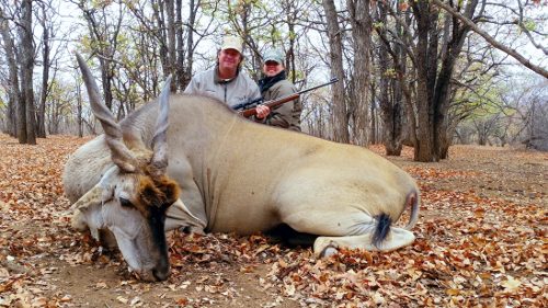 Spiral & Antelope trophy