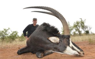 Spiral & Antelope trophy