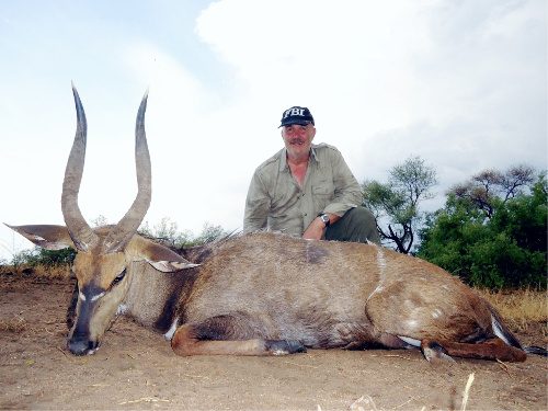 Spiral & Antelope trophy