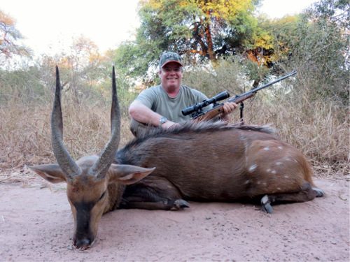 Spiral & Antelope trophy