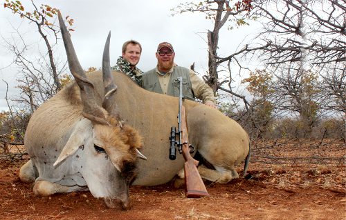 Spiral & Antelope trophy