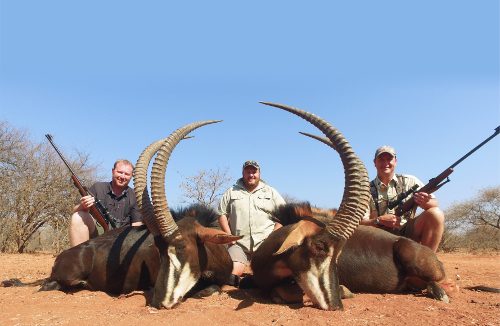 Spiral & Antelope trophy