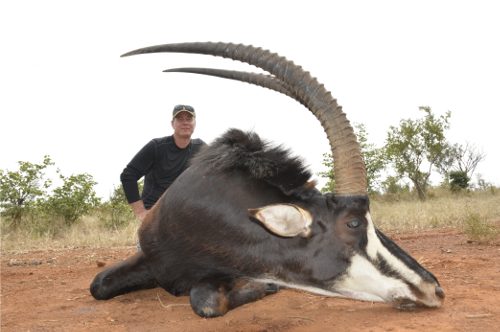 Spiral & Antelope trophy