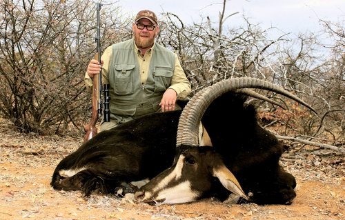 Spiral & Antelope trophy
