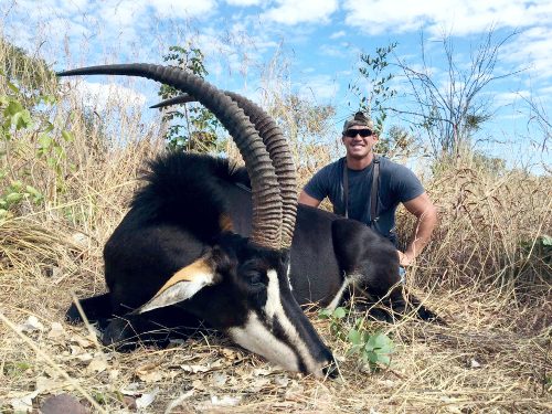 Spiral & Antelope trophy