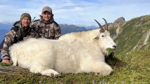 Mountain Goat Hunt British Columbia - Image 3